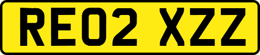 RE02XZZ
