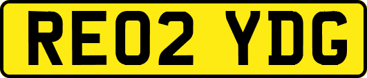 RE02YDG
