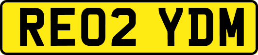 RE02YDM