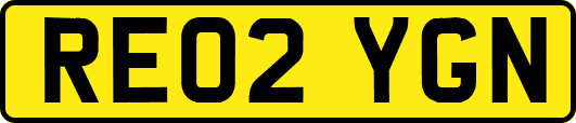 RE02YGN