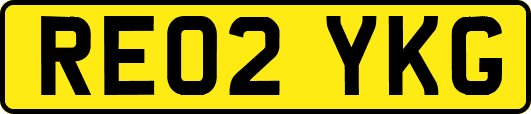 RE02YKG