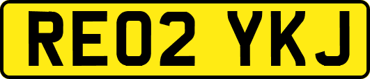 RE02YKJ