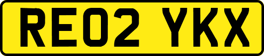 RE02YKX