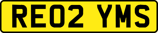 RE02YMS