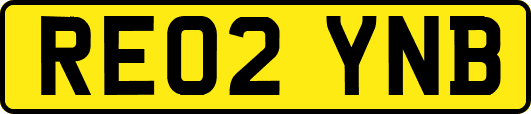 RE02YNB