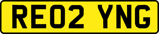 RE02YNG