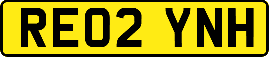 RE02YNH