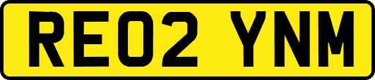RE02YNM