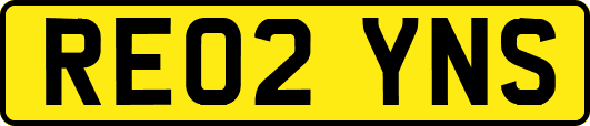 RE02YNS