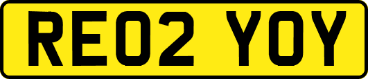 RE02YOY
