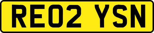 RE02YSN