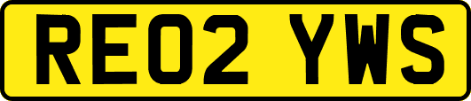 RE02YWS