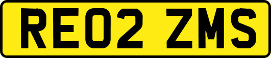 RE02ZMS