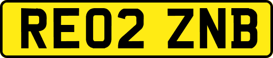 RE02ZNB