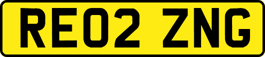 RE02ZNG