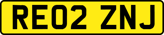 RE02ZNJ