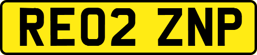 RE02ZNP