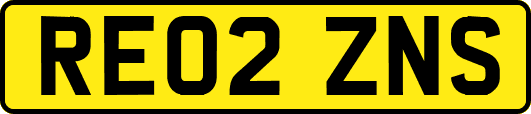 RE02ZNS