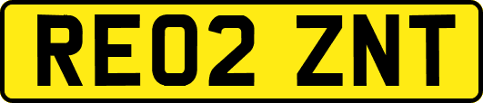 RE02ZNT