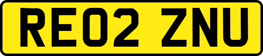 RE02ZNU