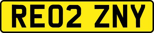 RE02ZNY