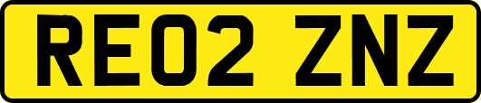 RE02ZNZ