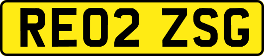 RE02ZSG
