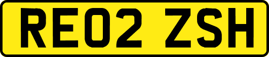 RE02ZSH