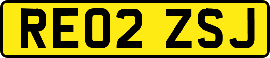 RE02ZSJ