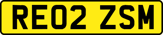 RE02ZSM