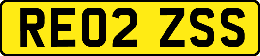 RE02ZSS