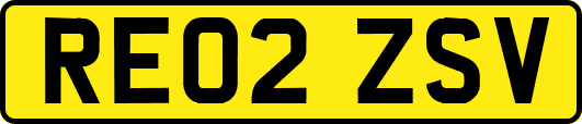 RE02ZSV