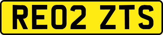 RE02ZTS