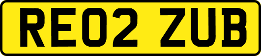 RE02ZUB