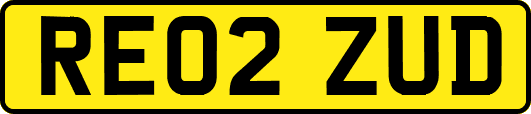 RE02ZUD
