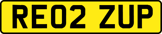 RE02ZUP