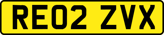 RE02ZVX