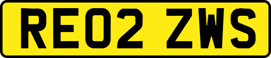 RE02ZWS
