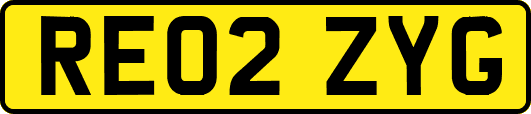 RE02ZYG