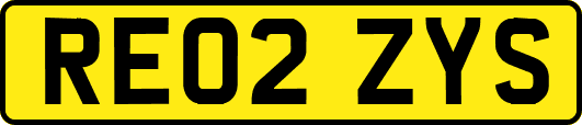 RE02ZYS