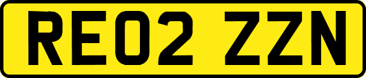 RE02ZZN