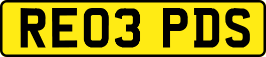 RE03PDS
