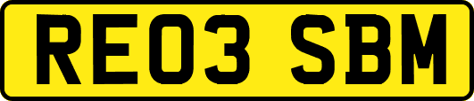 RE03SBM
