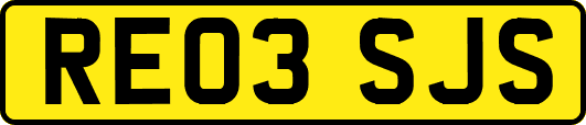 RE03SJS