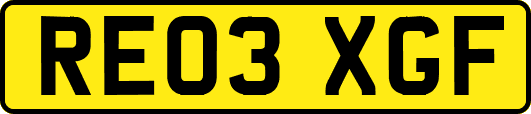 RE03XGF
