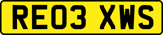 RE03XWS