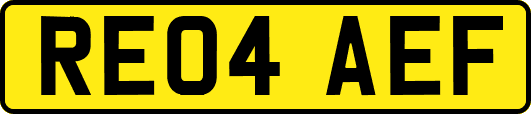 RE04AEF