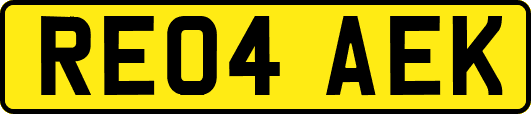 RE04AEK