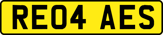 RE04AES