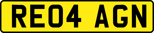 RE04AGN